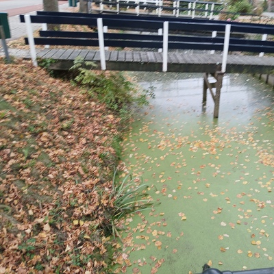 onze brug over de sloot moet nieuwe ondersteuning krijgen. De oude is doorgerot en omgevallen