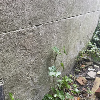 Uitgraven van 30 strekkende meter rondom hoekhuis. Ongeveer 1,5 m diep. Buitenmuur impregneren tegen doorslaand grondwater in souterrain