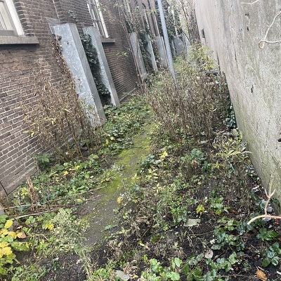 Uitgraven van 30 strekkende meter rondom hoekhuis. Ongeveer 1,5 m diep. Buitenmuur impregneren tegen doorslaand grondwater in souterrain